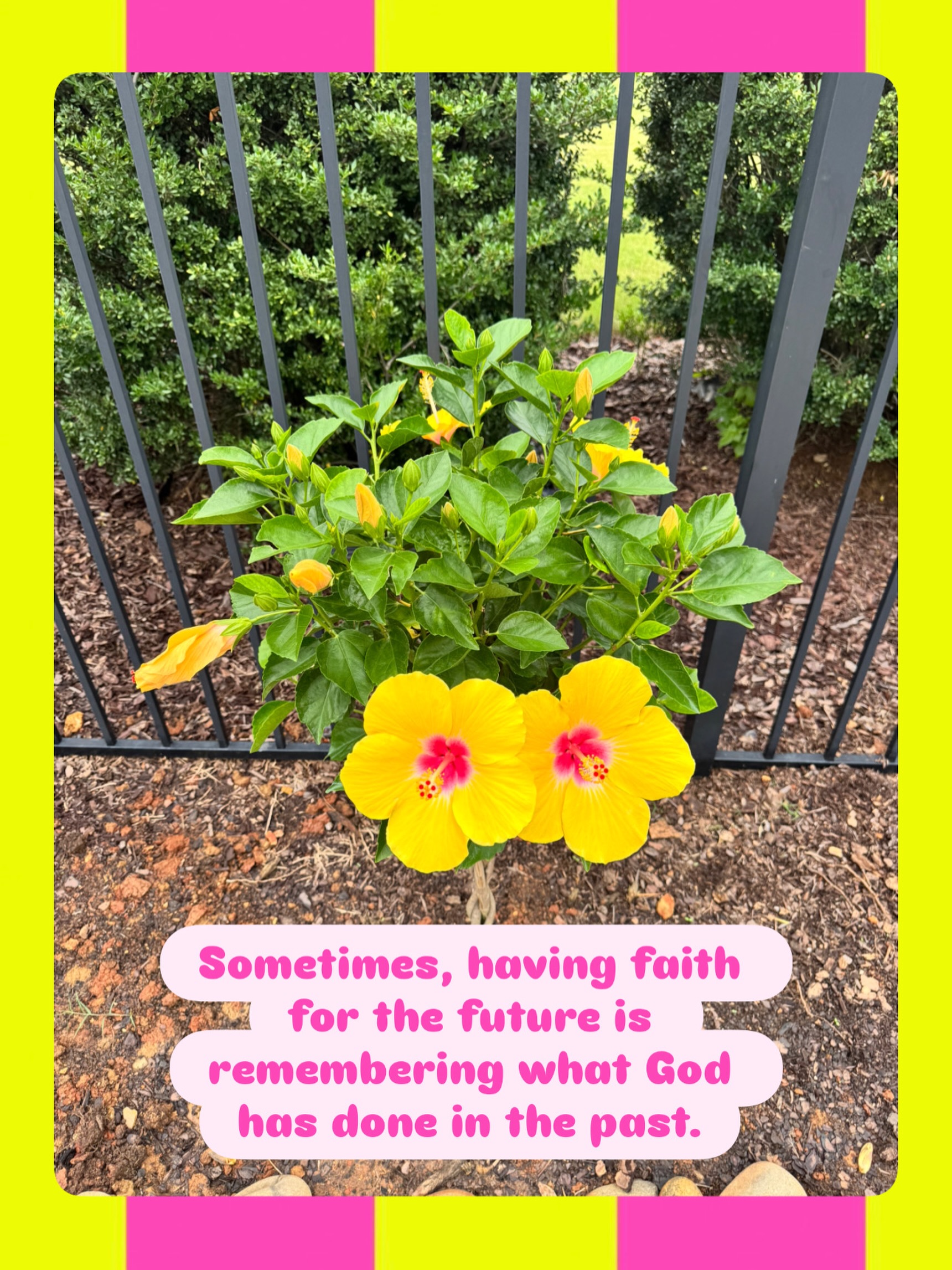 Sometimes faith for the future isn’t found in having all the answers — it’s found in remembering every time God has already made a way before. ✨ 

Drop a heart 💛 if God has been faithful to you 

#faithforthefuture #christianencouragement #shinewithcindy #flowersofinstagram #christiansofinstagram