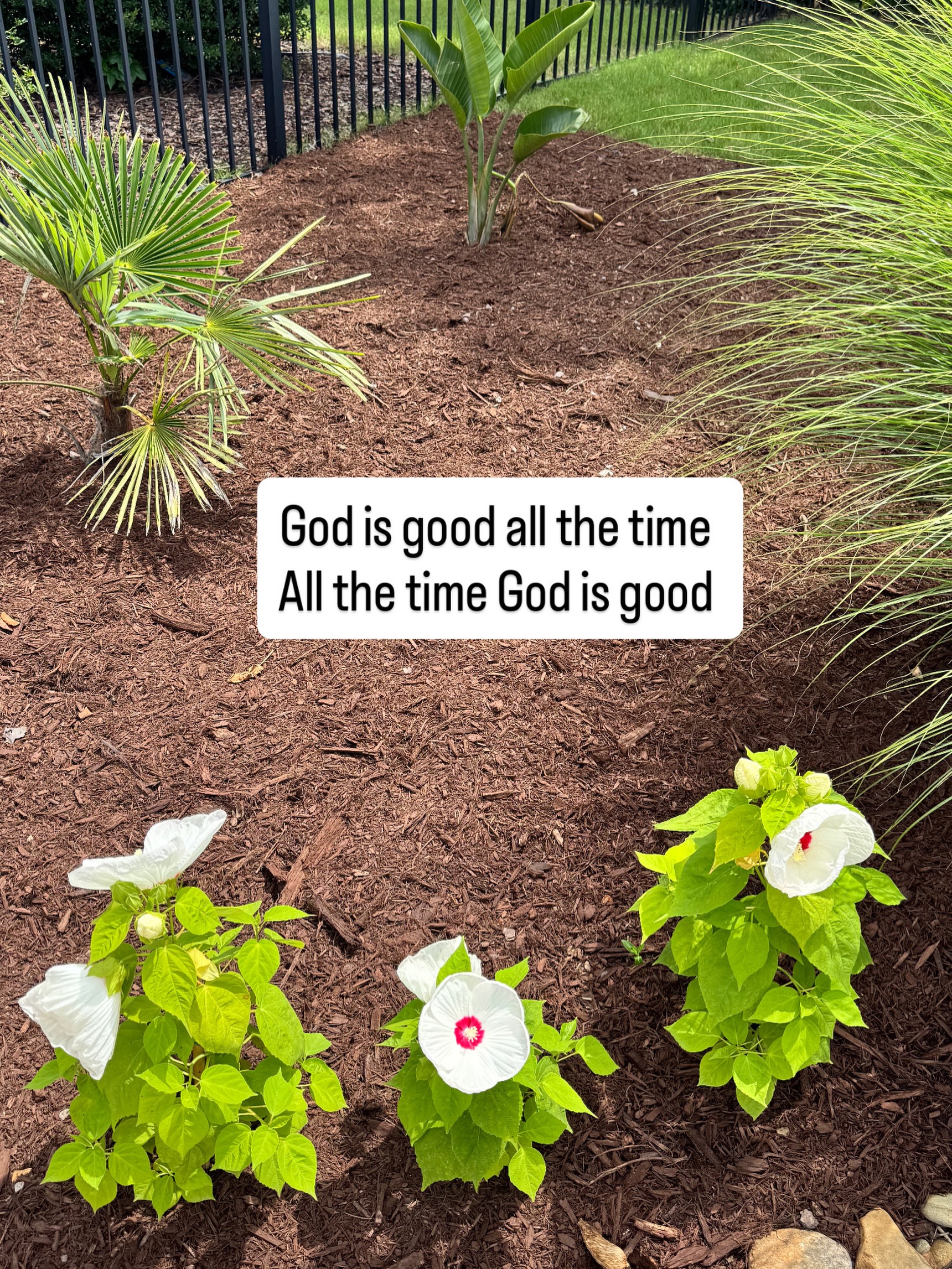 God is good all the time. 🤍 

Even in the waiting. Even in the uncertainty. Even when the answer looks different than we expected.

His goodness isn’t based on our circumstances—it flows from His unchanging character. 

Today, take a moment to remember His faithfulness in your life. 

The same God who carried you through yesterday is walking with you today and preparing the way for tomorrow.

What is one way you’ve seen God’s goodness lately? ✨

#GodIsGood #FaithOverFear #GodsFaithfulness #ChristianWomen #shinewithcindy